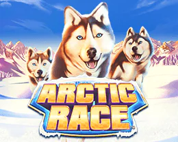 Arctic Race